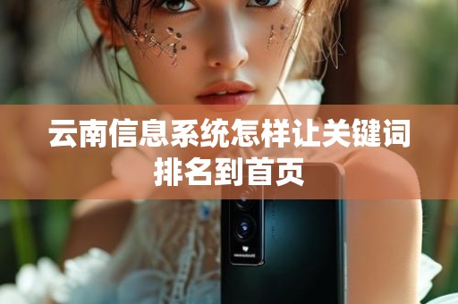 云南信息系统怎样让关键词排名到首页