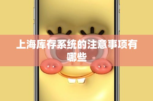上海库存系统的注意事项有哪些