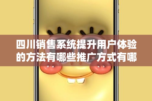 四川销售系统提升用户体验的方法有哪些推广方式有哪些