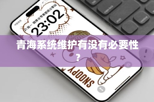 青海系统维护有没有必要性？
