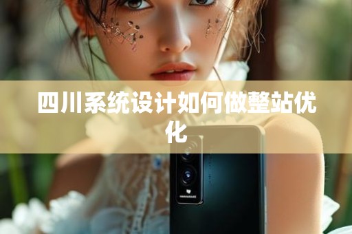四川系统设计如何做整站优化