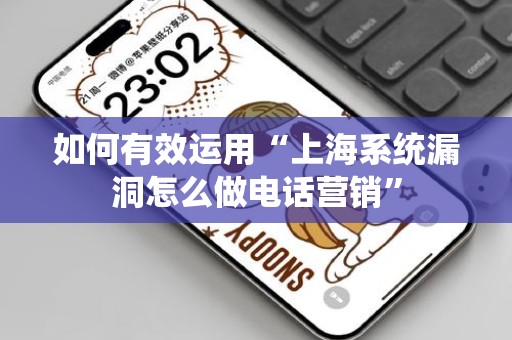 如何有效运用“上海系统漏洞怎么做电话营销”