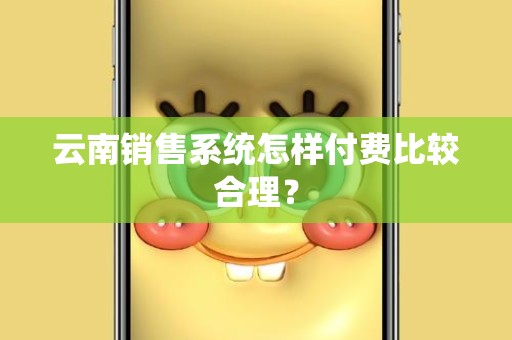 云南销售系统怎样付费比较合理？