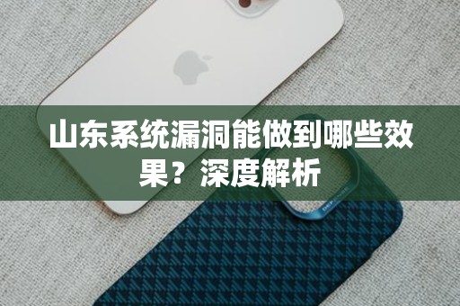 山东系统漏洞能做到哪些效果？深度解析