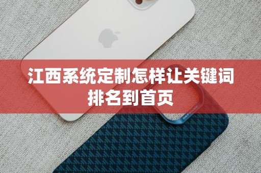 江西系统定制怎样让关键词排名到首页