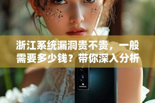 浙江系统漏洞贵不贵，一般需要多少钱？带你深入分析