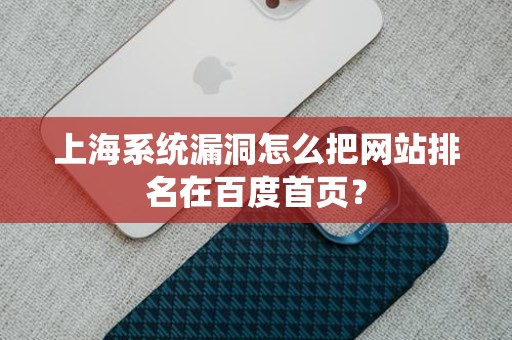 上海系统漏洞怎么把网站排名在百度首页？