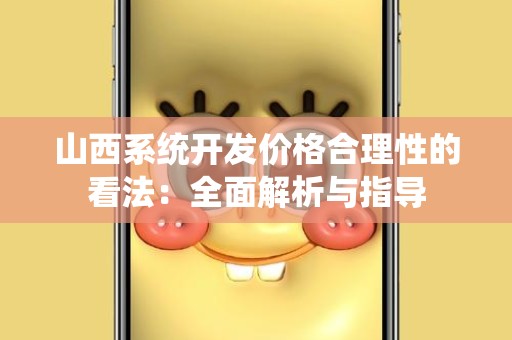 山西系统开发价格合理性的看法：全面解析与指导