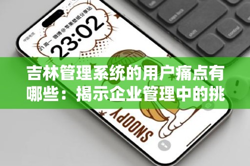 吉林管理系统的用户痛点有哪些：揭示企业管理中的挑战