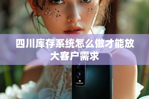四川库存系统怎么做才能放大客户需求