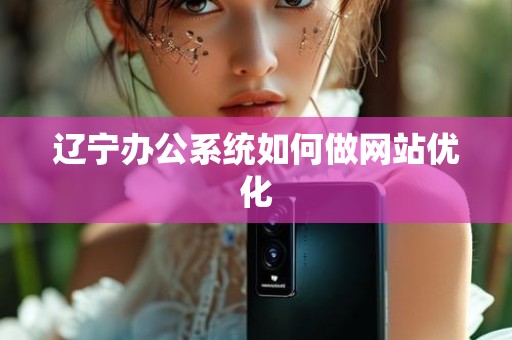 辽宁办公系统如何做网站优化