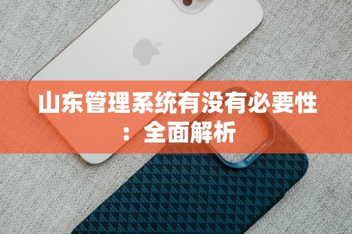 山东管理系统有没有必要性：全面解析