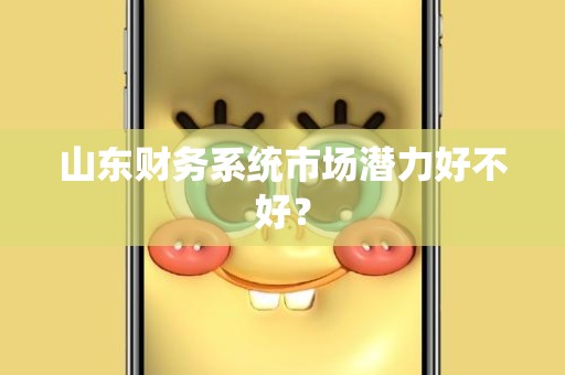 山东财务系统市场潜力好不好？