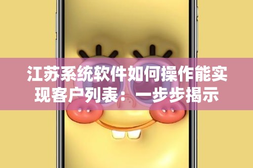 江苏系统软件如何操作能实现客户列表：一步步揭示