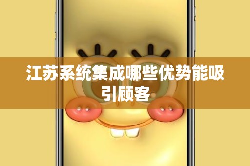 江苏系统集成哪些优势能吸引顾客