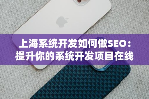 上海系统开发如何做SEO：提升你的系统开发项目在线曝光率