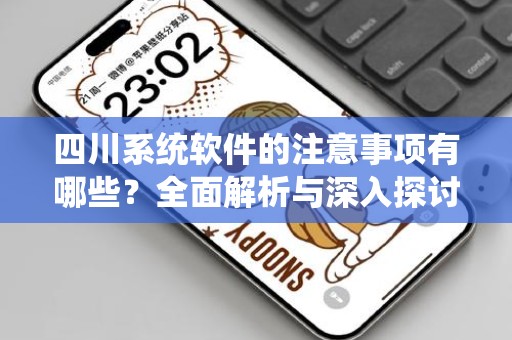 四川系统软件的注意事项有哪些？全面解析与深入探讨