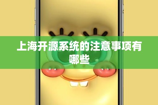 上海开源系统的注意事项有哪些