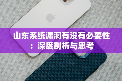 山东系统漏洞有没有必要性：深度剖析与思考