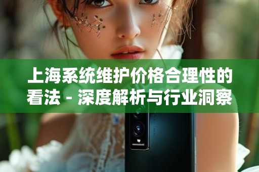 上海系统维护价格合理性的看法 - 深度解析与行业洞察