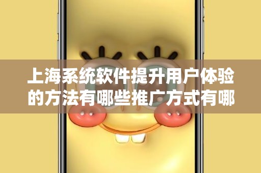 上海系统软件提升用户体验的方法有哪些推广方式有哪些