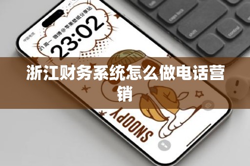 浙江财务系统怎么做电话营销