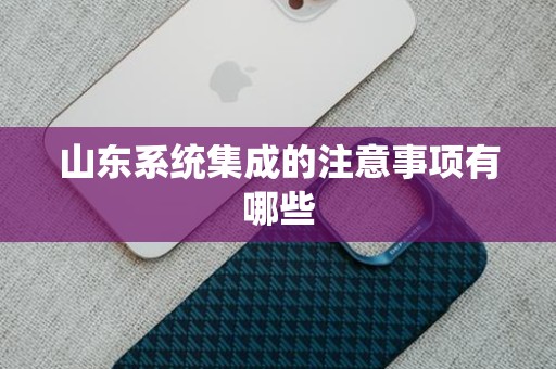 山东系统集成的注意事项有哪些