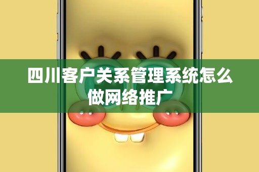 四川客户关系管理系统怎么做网络推广
