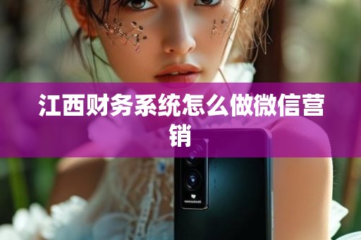 江西财务系统怎么做微信营销