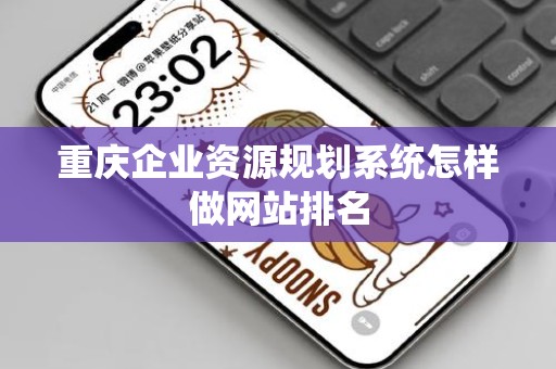 重庆企业资源规划系统怎样做网站排名