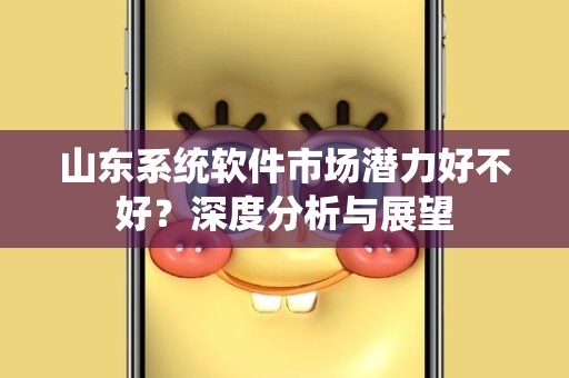 山东系统软件市场潜力好不好？深度分析与展望