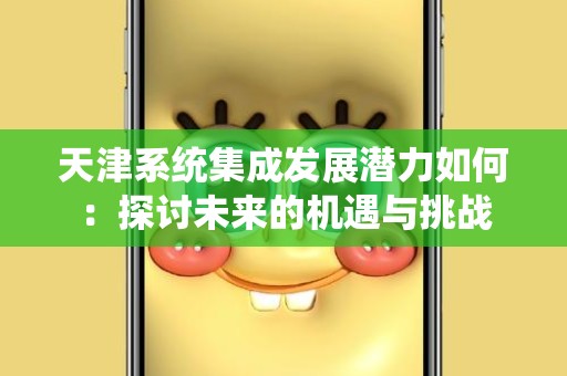 天津系统集成发展潜力如何：探讨未来的机遇与挑战