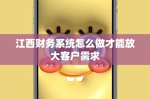 江西财务系统怎么做才能放大客户需求
