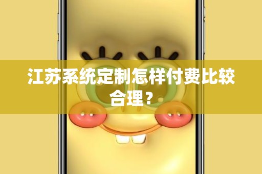 江苏系统定制怎样付费比较合理？