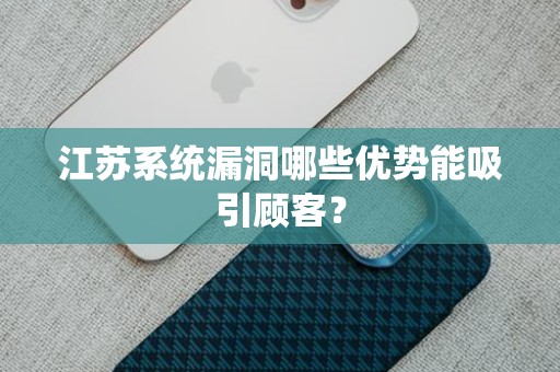 江苏系统漏洞哪些优势能吸引顾客？