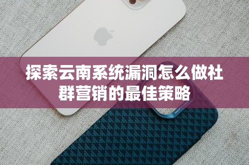 探索云南系统漏洞怎么做社群营销的最佳策略