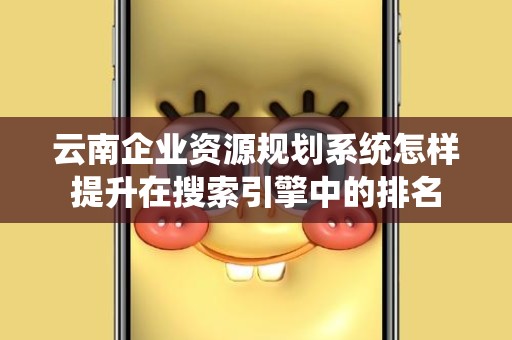 云南企业资源规划系统怎样提升在搜索引擎中的排名