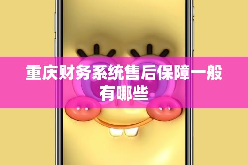 重庆财务系统售后保障一般有哪些