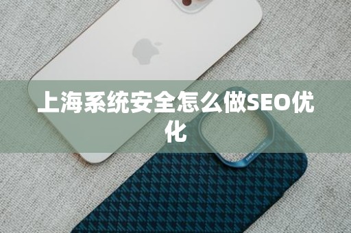 上海系统安全怎么做SEO优化