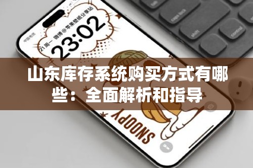 山东库存系统购买方式有哪些：全面解析和指导