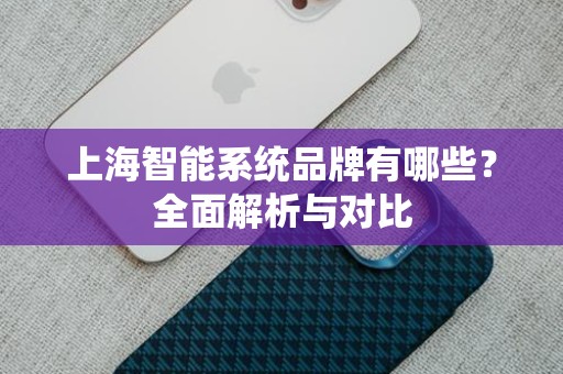 上海智能系统品牌有哪些？全面解析与对比