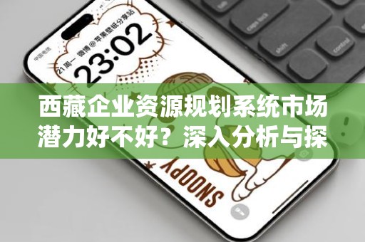 西藏企业资源规划系统市场潜力好不好？深入分析与探讨