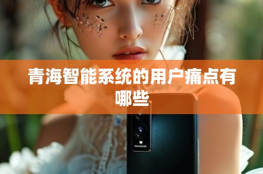 青海智能系统的用户痛点有哪些