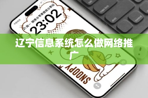 辽宁信息系统怎么做网络推广