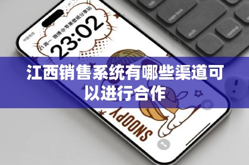 江西销售系统有哪些渠道可以进行合作