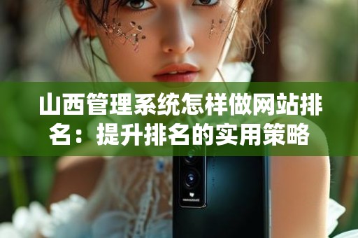 山西管理系统怎样做网站排名：提升排名的实用策略