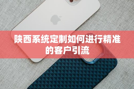 陕西系统定制如何进行精准的客户引流