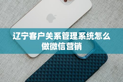 辽宁客户关系管理系统怎么做微信营销