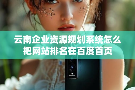 云南企业资源规划系统怎么把网站排名在百度首页