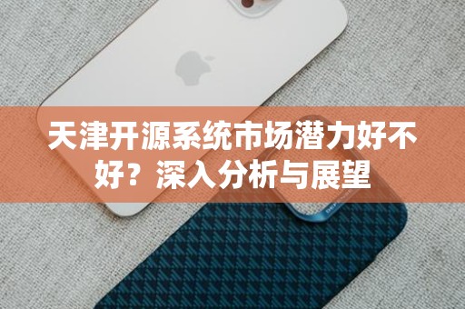 天津开源系统市场潜力好不好？深入分析与展望
